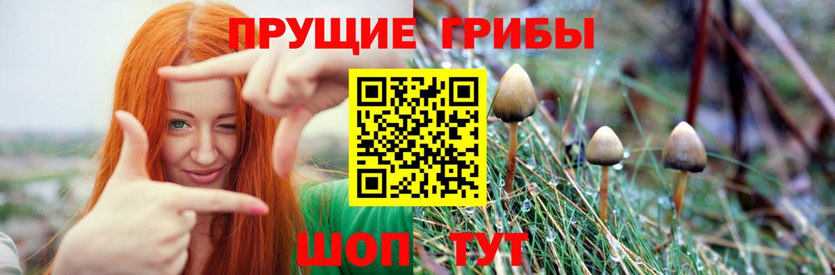 Солнечногорск  Галлюциногенные грибы мухоморы  Вход с VPN  Псилоцибиновые грибы Psilocybe 